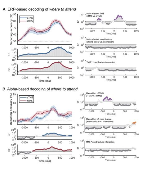 Tms Effects On Decoding Accuracy Of Where To Attend Attend Left Vs