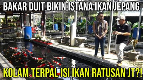 BAKAR DUIT BIKIN ISTANA IKAN JEPANG KOLAM TERPAL ISI IKAN RATUSAN JT