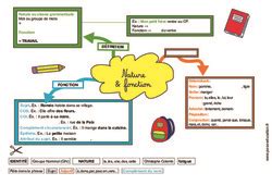 Carte Mentale Nature Et Fonction CM2 Cycle 3