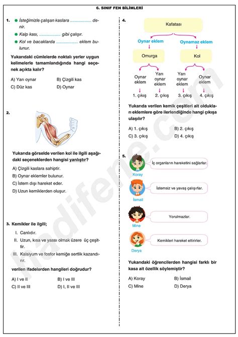 N Te V Cudumuzdak S Stemler N Te Tekrar Testler Hadi Fene