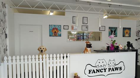 Fancy Paws Pet Grooming - Pet Groomer in Redwood