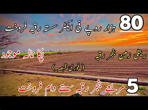 Agriculture Land For Sale In Punjab Pakistan 125 Acer Sale