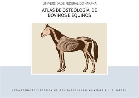 Versão Digital Atlas De Osteologia Atlas De Osteologia De