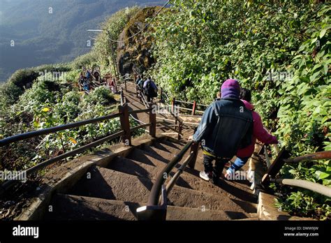 Buddhist Pilgrims On The Steep Staircase Near The Summit Of Adam S Peak