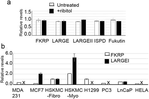 Quantitative Real Time Rt Pcr Detection Of Fkrp Large Largeii Ispd