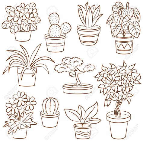 Doodle Set Of Pot Plants And Flowers Easy Doodle Art Doodle Art