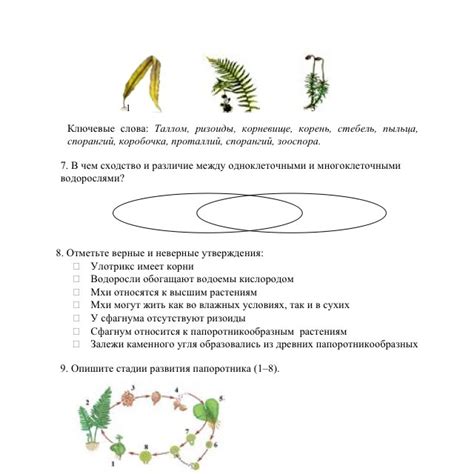 6. Как называются растения, изображенные на рисунке? Выберите из ...