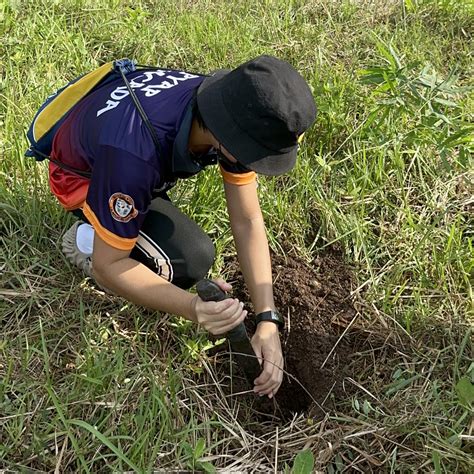 TREE PLANTING ACTIVITY