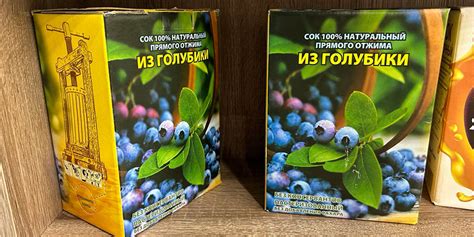 Белорусский фермер давит сок из голубики