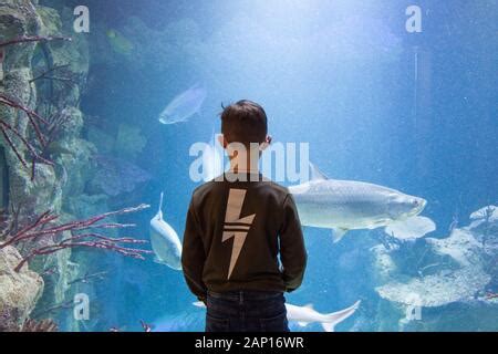 Haus Des Meeres Aquarium Ein Ehemaliger Deutscher Weltkrieg Zwei Anti