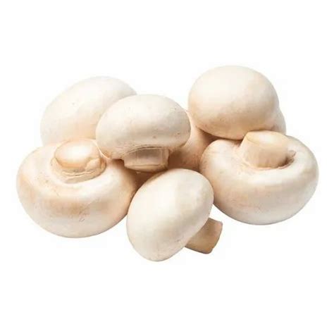 Organic Button Mushroom Packaging Type Loose At Rs 300 Kg In Ghaziabad