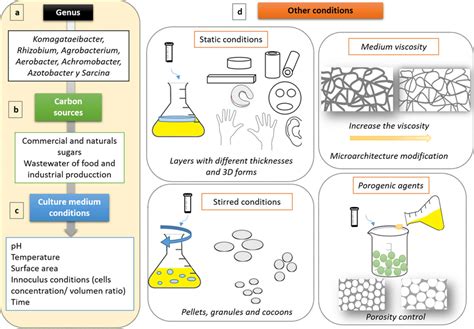 A Review Of Culture Media For Bacterial Cellulose Off