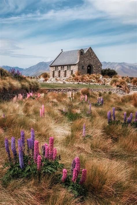 Church Of The Good Shepherd At Tekapo New Zealand Stock Photo Image