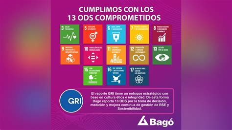 13 Objetivos De Desarrollo Sostenible Ods Laboratorios Bagó De Bolivia