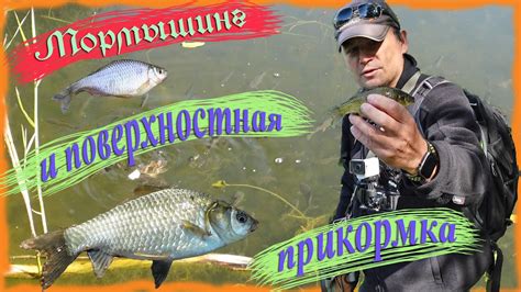 Мормышинг и поверхностная прикормка. Как прикормить карася? - YouTube