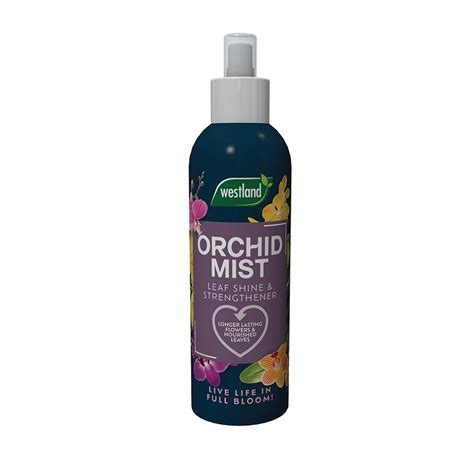 Buy Orchid Mist Delivery By Crocus