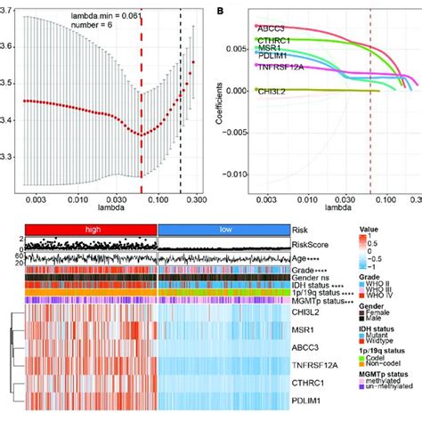 Identification Of A CAFs Related Six Gene Risk Signature For Overall