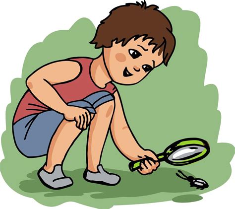 Cartoon Inquisitive Boy Examines A Beetle Through A Magnifying Glass