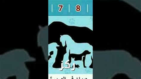 كم 🤔حيوان في الصورة ركز 👌 - YouTube