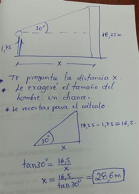 Un Hombre De M De Estatura Observa La Parte Alta De Un Edificio De