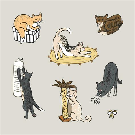 Set Of Cute Hand Drawn Cats Vector Illustration In Doodle Style