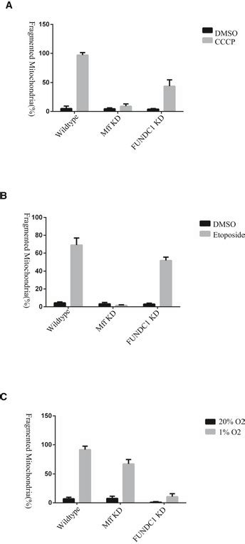 FUNDC1 regulates mitochondrial dynamics at the ER–mitochondrial contact ... 