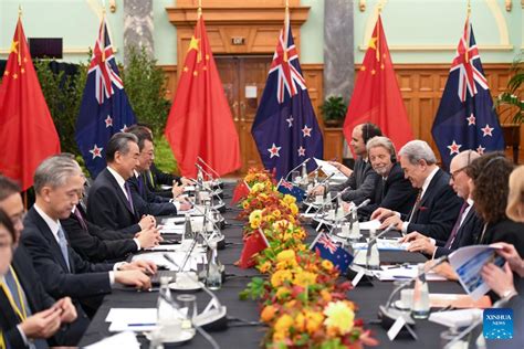 China New Zealand Agree On Closer Cooperation Ties In Next Decade Xinhua