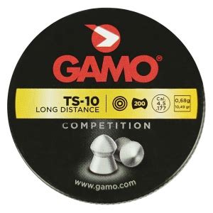 Chumbinho Gamo TS 10 Long Distance Competition AR15 Sport