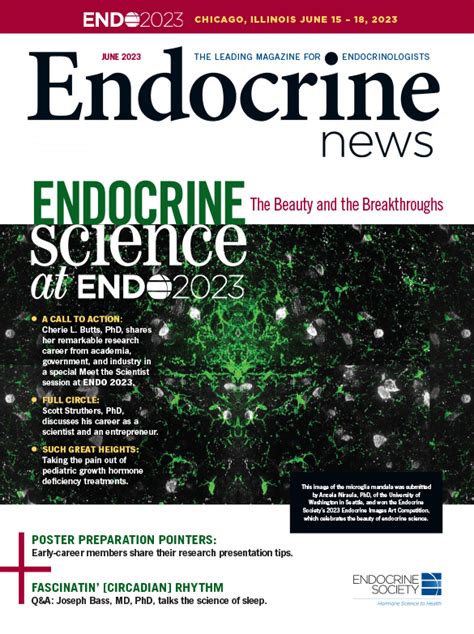 Reliving Endo 2023 Highlights Endocrine News