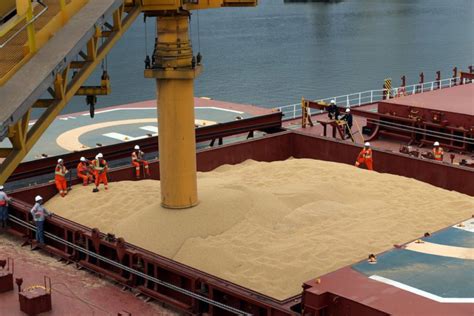 American Soybean Cargo Makes Rare Journey To Top Exporter Brazil