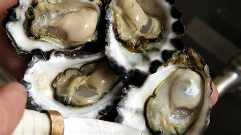 The surprisingly complex taste profile of an oyster - Flipboard