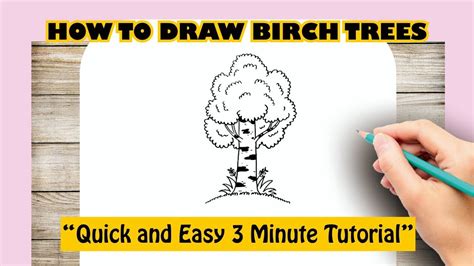 How To Draw Birch Trees Youtube