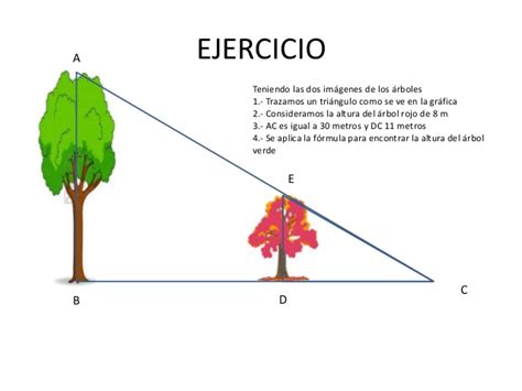 TEOREMA DE TALES (SEMEJANZA DE TRIÁNGULOS)