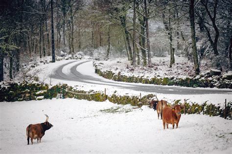 Estradas No Maci O Central Da Serra Da Estrela Reabertas Exceto O