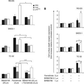 Fenretinide Upregulation Of Dr Is Dependent On Phosphorylation Of Ask