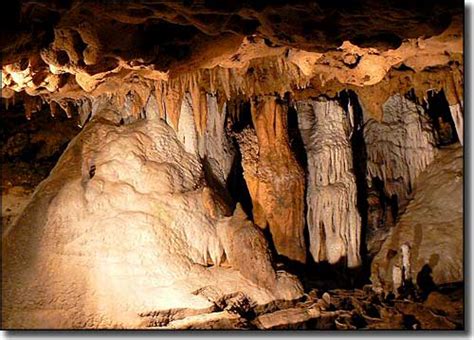 Florida Caverns State Park