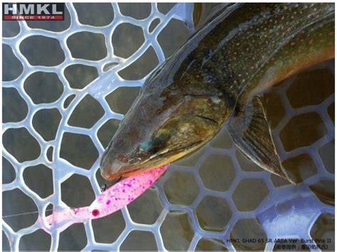 Воблер HMKL Shad 65 Sr Area Ver, цвет WAVE BLACK купить по цене 0₽