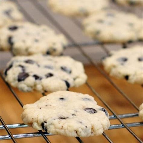 Stevia Chocolate Chip Shortbread - Healthy Slow Cooking