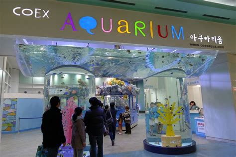 LOVE KOREA COEX Aquarium