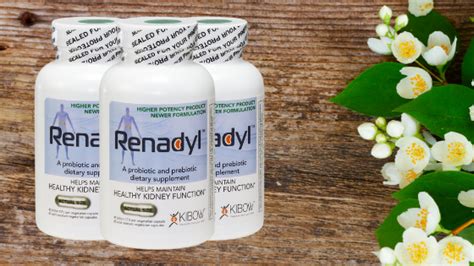 The Best Kidney Supplement Renadyl™ - Kidney Health