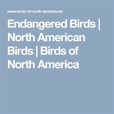 Endangered Birds | North American Birds | Birds of North America ...