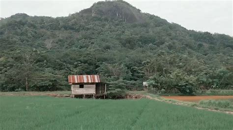 Mendaki Bukit Botak Musi Rawas Youtube