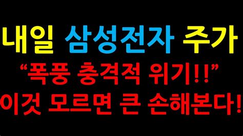 내일 삼성전자 주가 “폭풍 충격적 위기” 이것 모르면 큰 손해본다 Youtube