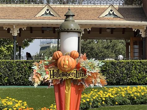 Halfway To Halloween Disneyland Resort Edition Disney Over 50