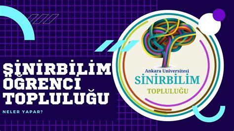 Biz Kimiz Neler Yapıyoruz Ankara Üniversitesi Sinirbilim Öğrenci