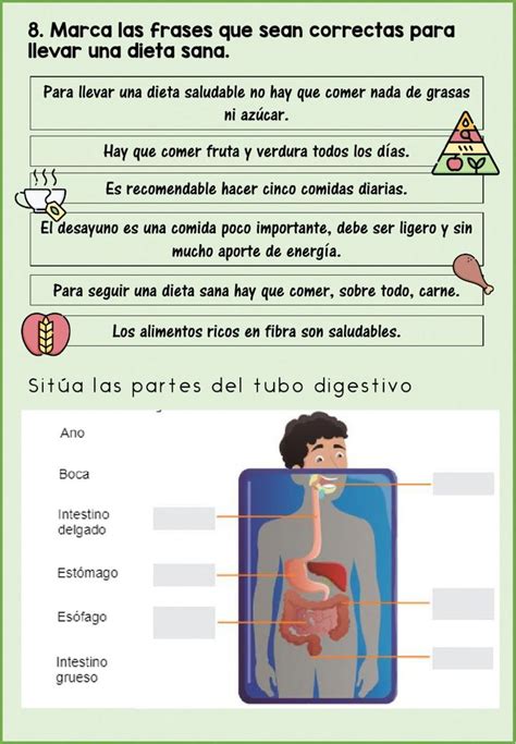 Actividad De Funci N De Nutrici N Para Tercero De Primaria Funciones