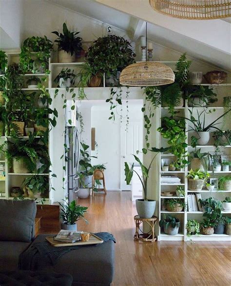 Pin By Barbara B On Jungalows House Plants Decor Room With Plants