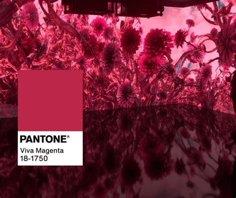 Pantone Iepaz Stina Ar Gada Kr Su Pantone Viva Magenta