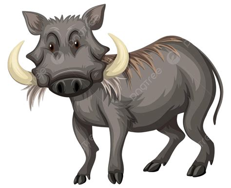 Wild Pig With Sharp Teeth White Mammal Graphic Vector White Mammal