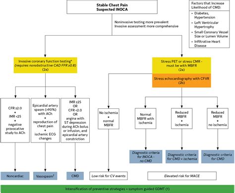 2021 Ahaaccasechestsaemscctscmr Guideline For The Evaluation And